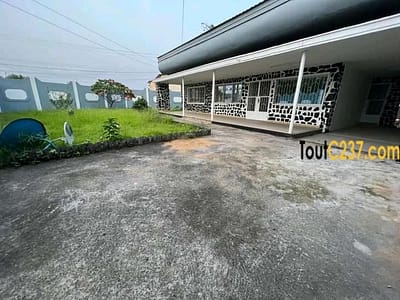 Maison à louer à Bonapriso Douala