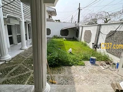 Duplex des cadres à louer à Bonapriso